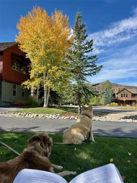 Photo of 1315 Turning Leaf Court #Deed F, Steamboat Springs, CO 80487 (MLS # S1071669)