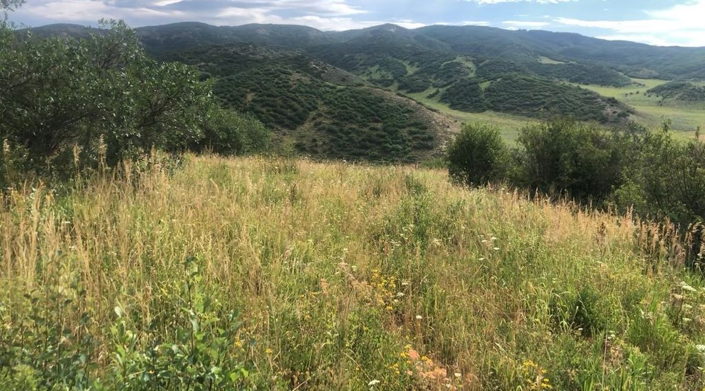Photo of 25060 Rainbow Ridge, Oak Creek, CO 80467 (MLS # S1063851)