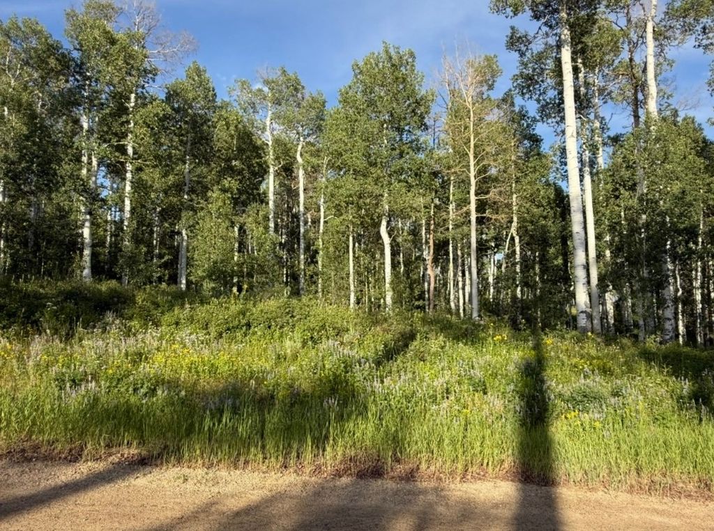 Photo of 26320 Beaver Canyon Drive, Clark, CO 80428 (MLS # S1061732)