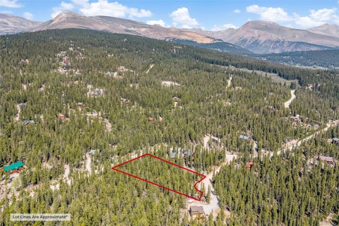 Photo of 914 Bobcat Lane, Fairplay, CO 80440 (MLS # S1070885)