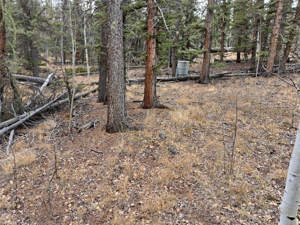 Photo of 210 Tepee Trail, Como, CO 80432 (MLS # S1064251)