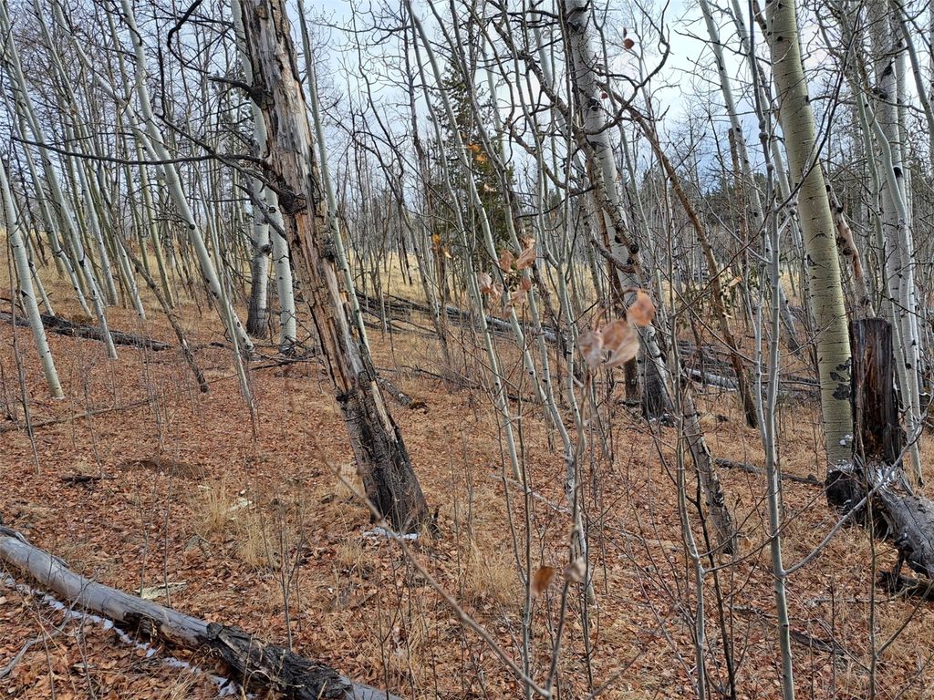 Photo of 503 Sugar Loaf Lane, Jefferson, CO 80456 (MLS # S1066401)