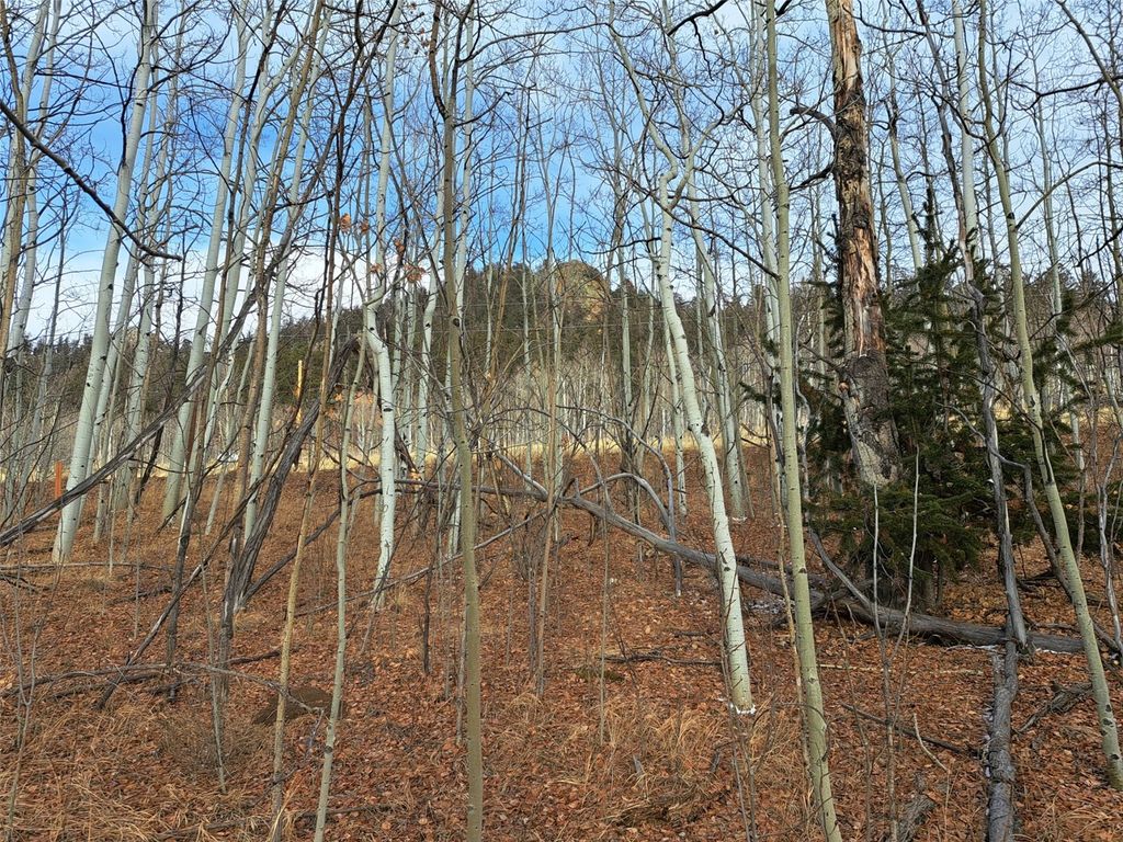 Photo of 503 Sugar Loaf Lane, Jefferson, CO 80456 (MLS # S1066401)