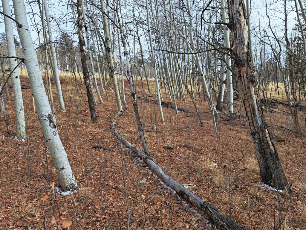 Photo of 503 Sugar Loaf Lane, Jefferson, CO 80456 (MLS # S1066401)