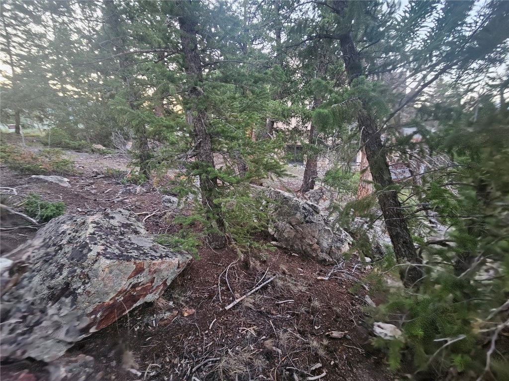 Dillon, Colorado 80435, United States, ,Land,Active,169146