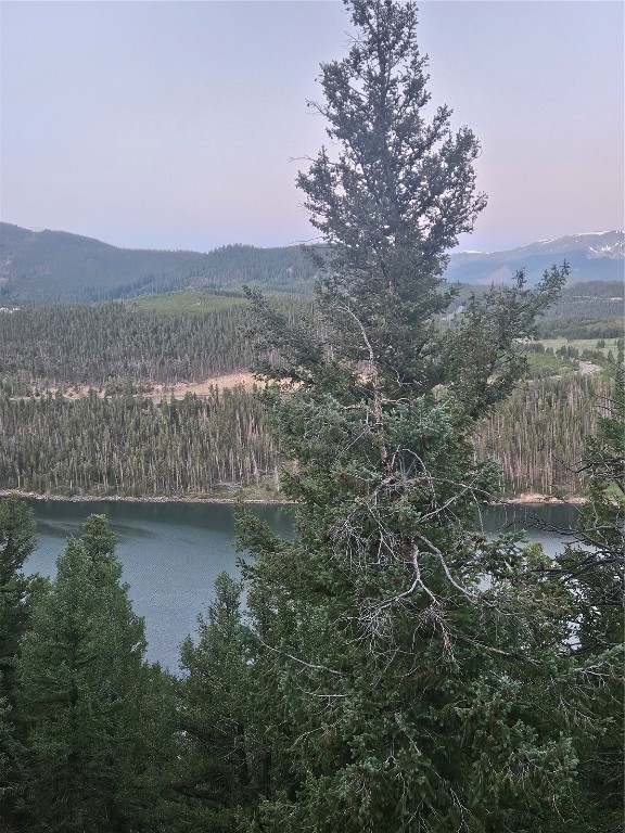 Dillon, Colorado 80435, United States, ,Land,Active,169146