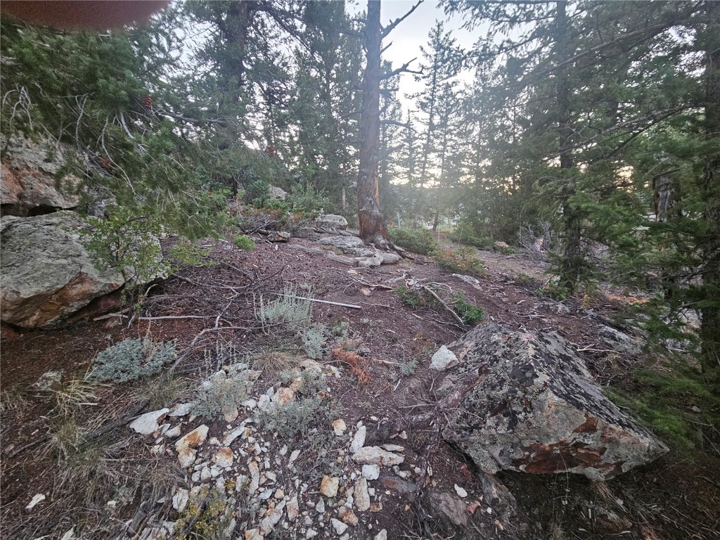 Dillon, Colorado 80435, United States, ,Land,Active,169146