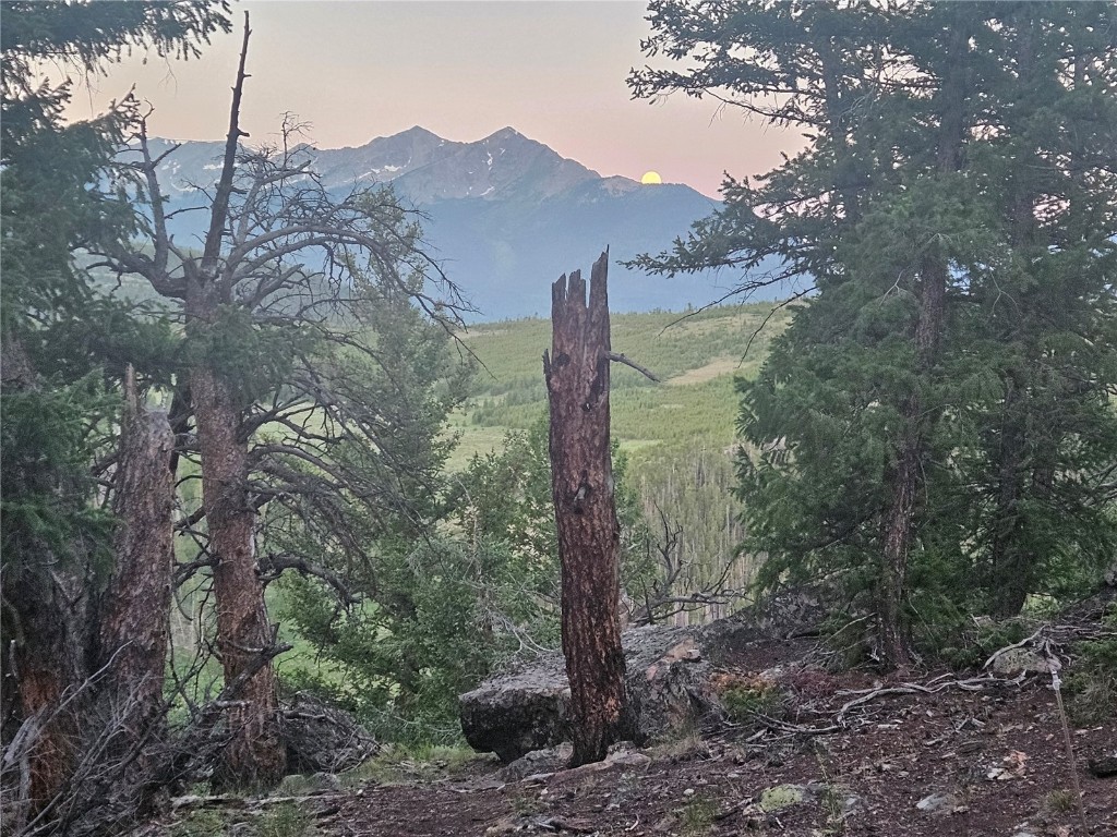 Dillon, Colorado 80435, United States, ,Land,Active,169146