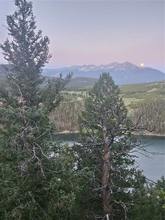 Dillon, Colorado 80435, United States, ,Land,Active,169146