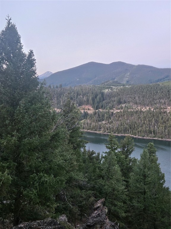 Dillon, Colorado 80435, United States, ,Land,Active,169146