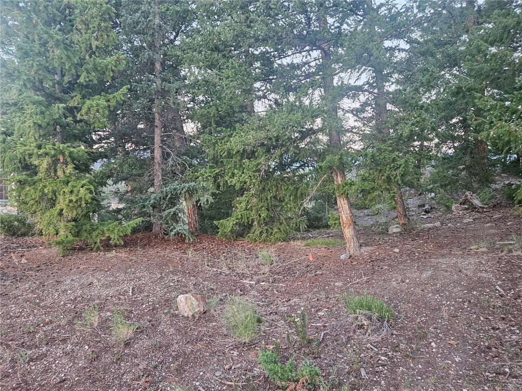 Dillon, Colorado 80435, United States, ,Land,Active,169146