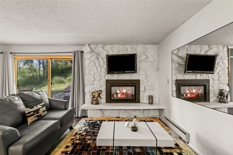 Photo of 2215 Storm Meadows Drive #110, Steamboat Springs, CO 80487 (MLS # S1069707)