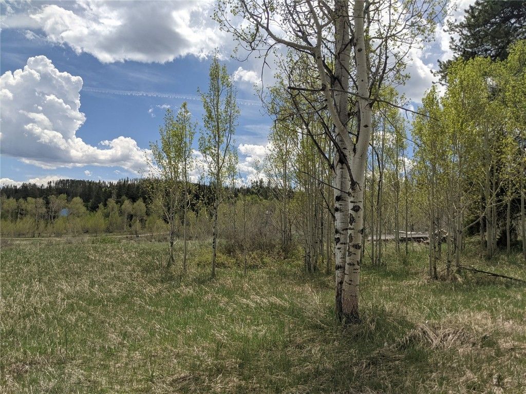 Photo of 32423 Ute Trail, Oak Creek, CO 80467 (MLS # S1061656)