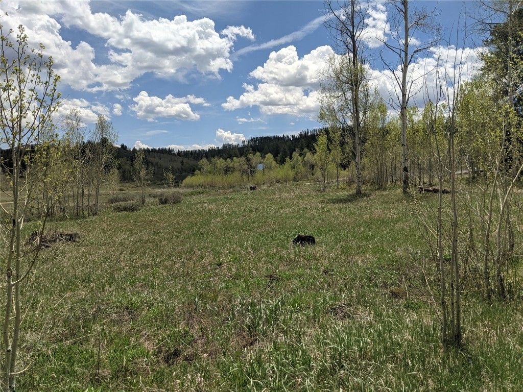 Photo of 32423 Ute Trail, Oak Creek, CO 80467 (MLS # S1061656)