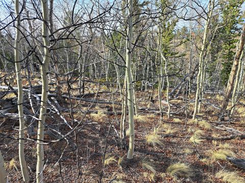 Photo of 93 Wyandot Way, Como, CO 80432 (MLS # S1068350)