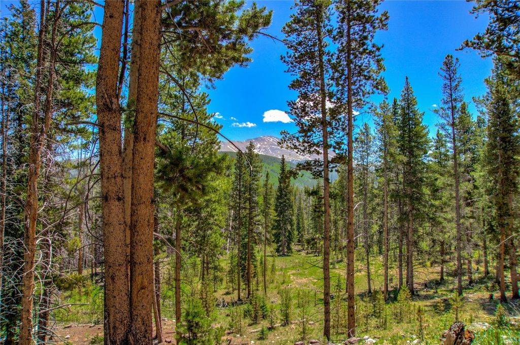 Photo of 525 Gold King Way, Breckenridge, CO 80424 (MLS # S1065729)