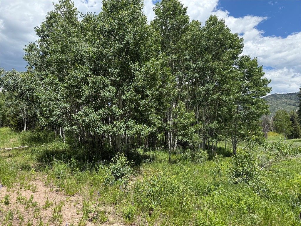 Photo of 21405 Hopi Way, Oak Creek, CO 80467 (MLS # S1060082)