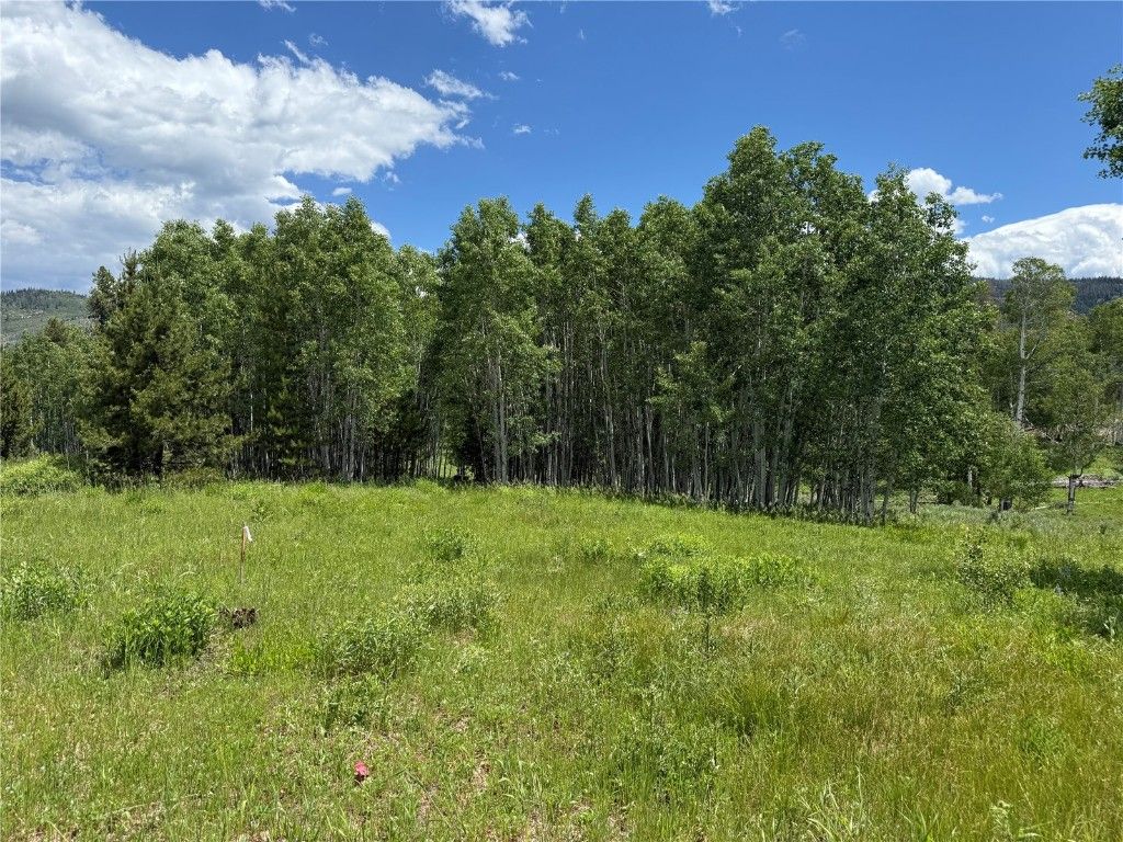 Photo of 21405 Hopi Way, Oak Creek, CO 80467 (MLS # S1060082)
