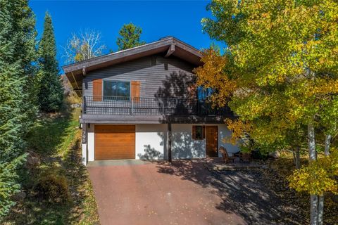 Photo of 795 Spring Creek Circle, Steamboat Springs, CO 80487 (MLS # S1063792)