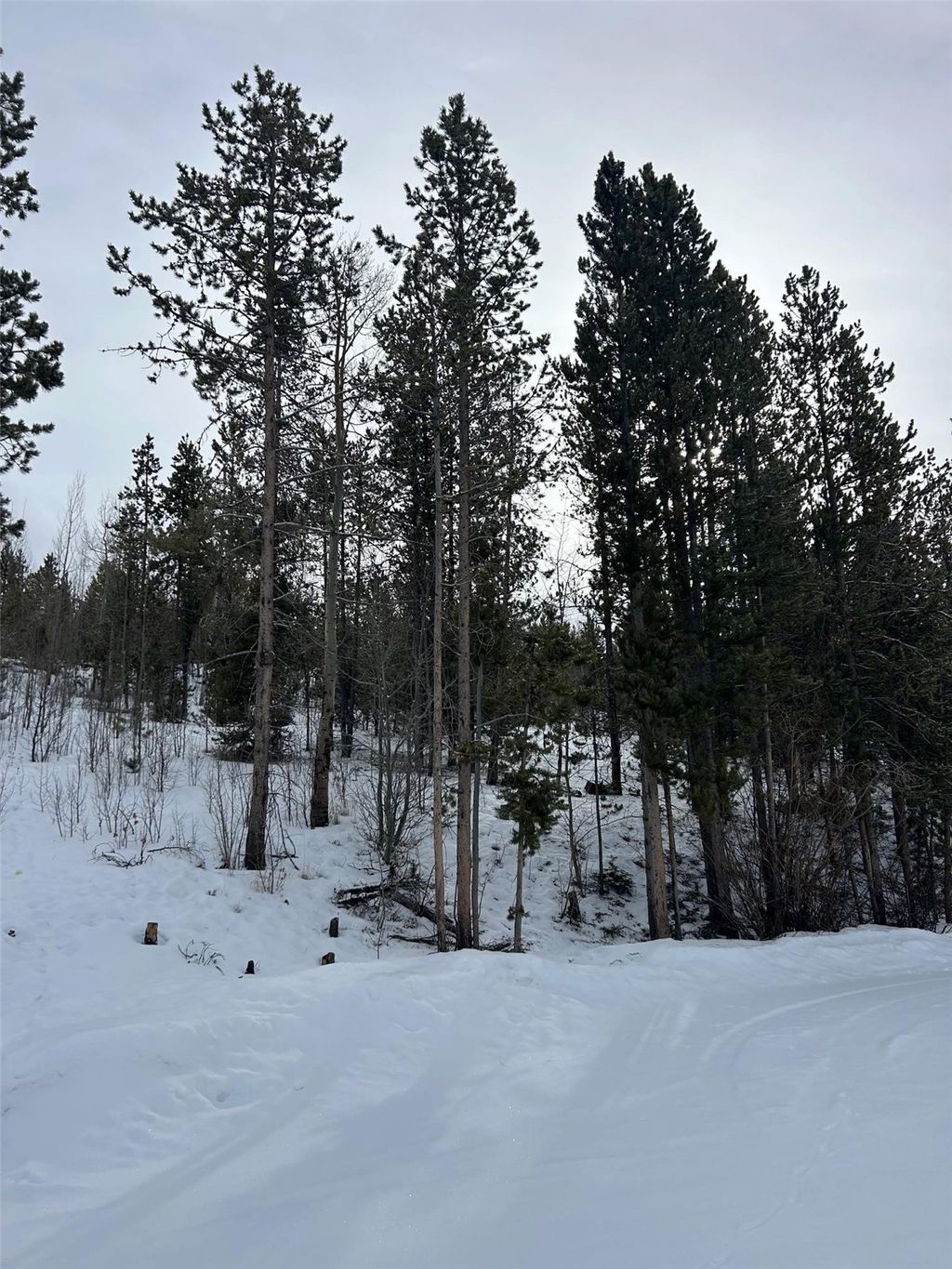 Photo of 114 County Road 4905, Grand Lake, CO 80447 (MLS # S1066062)
