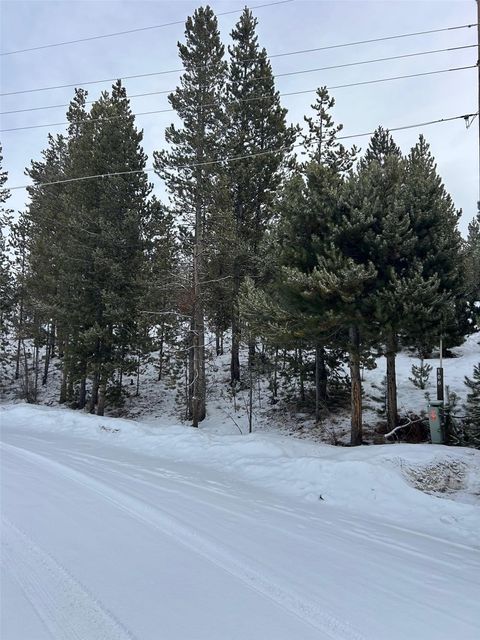 Photo of 114 County Road 4905, Grand Lake, CO 80447 (MLS # S1066062)