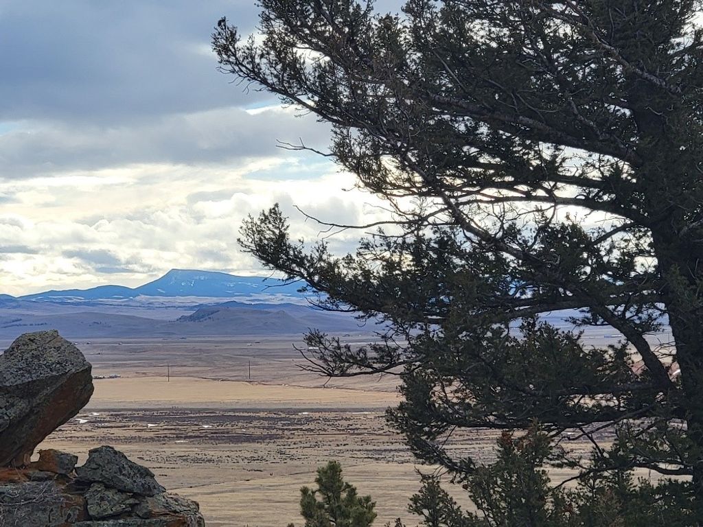 Photo of 403 Redhill Road, Fairplay, CO 80440 (MLS # S1065784)