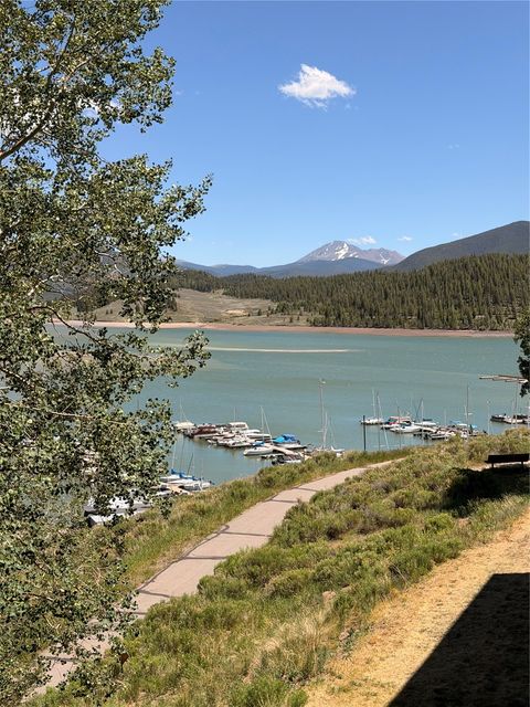 Photo of 220 E La Bonte Street #219, Dillon, CO 80435 (MLS # S1067900)