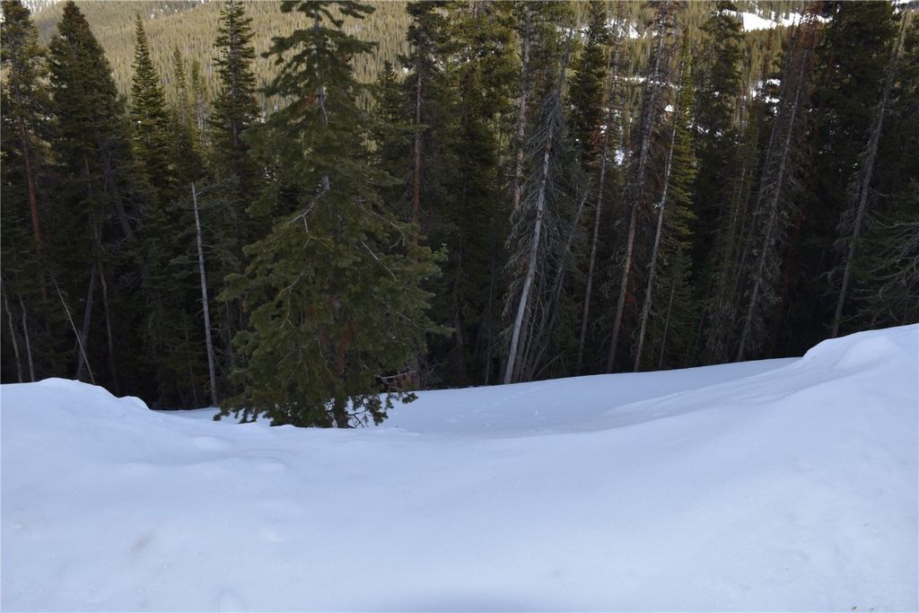 Photo of 404 Carroll Lane, Breckenridge, CO 80424 (MLS # S1065890)