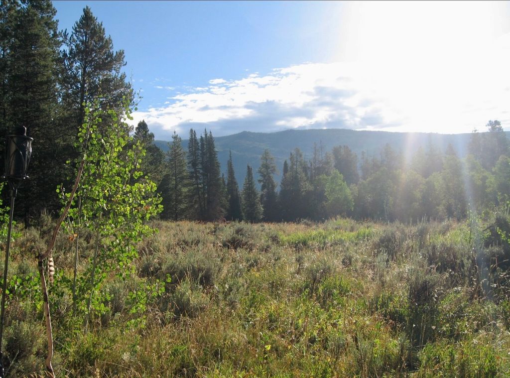 Photo of 21505 Oglala Way, Oak Creek, CO 80467 (MLS # S1066410)