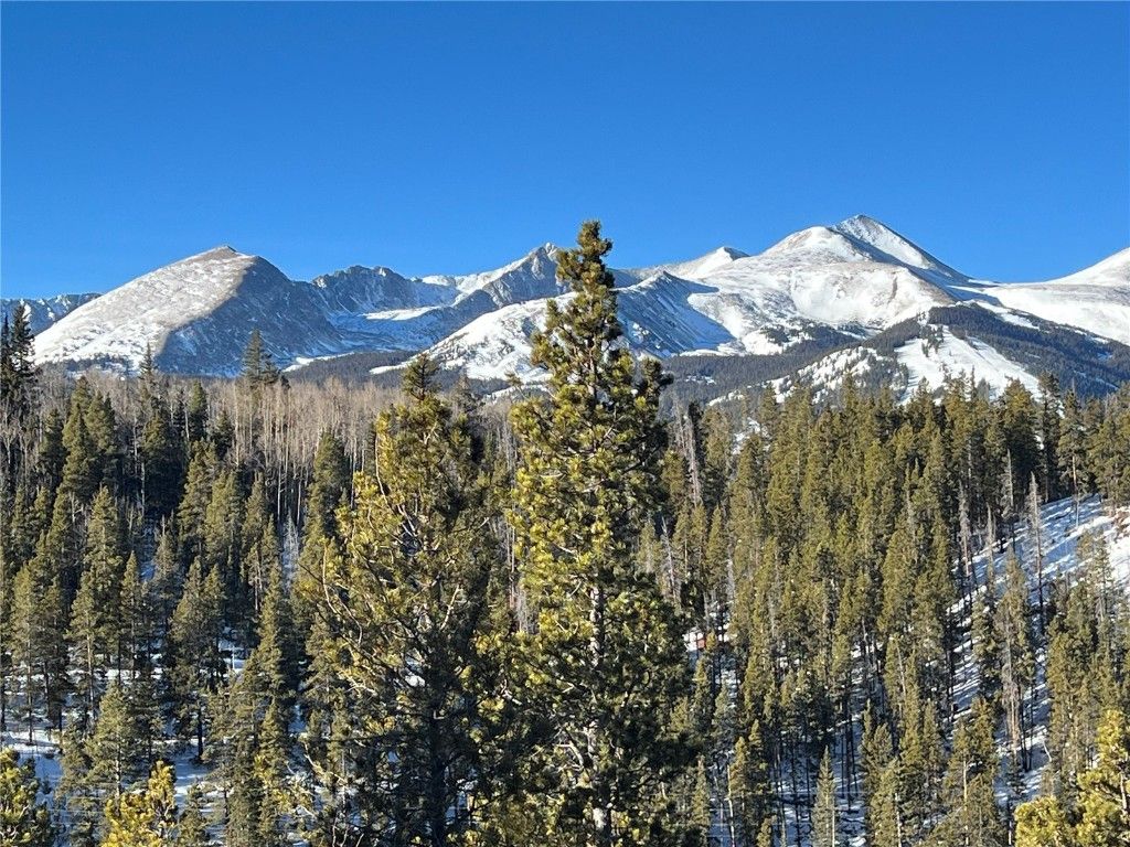 Photo of 2584 Boreas Pass Road, Breckenridge, CO 80424 (MLS # S1065984)