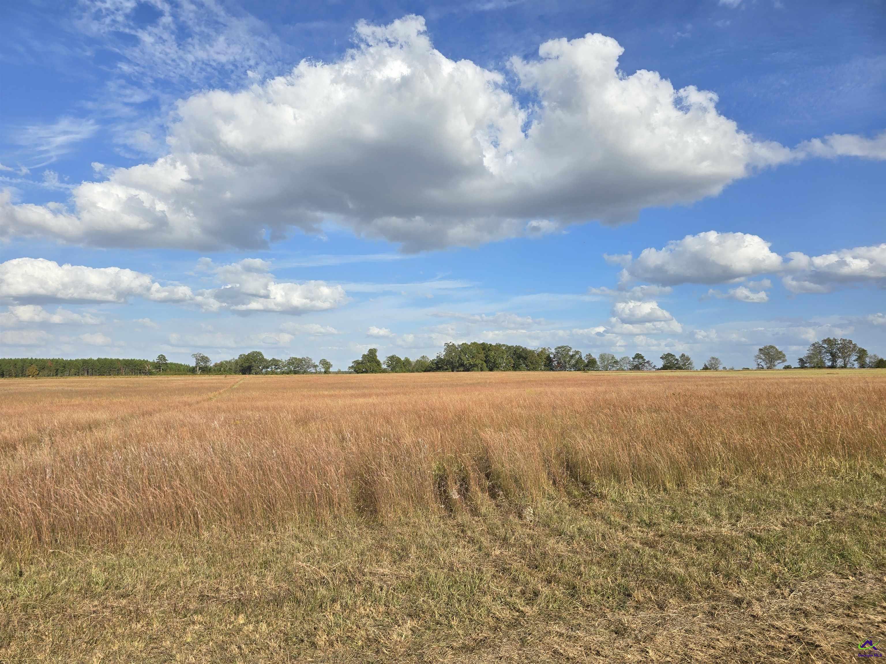 13 Hay Field Rd