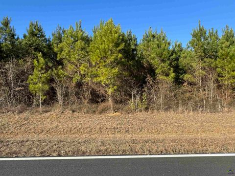Lot 2A Whitfield Rd Elko GA 31025