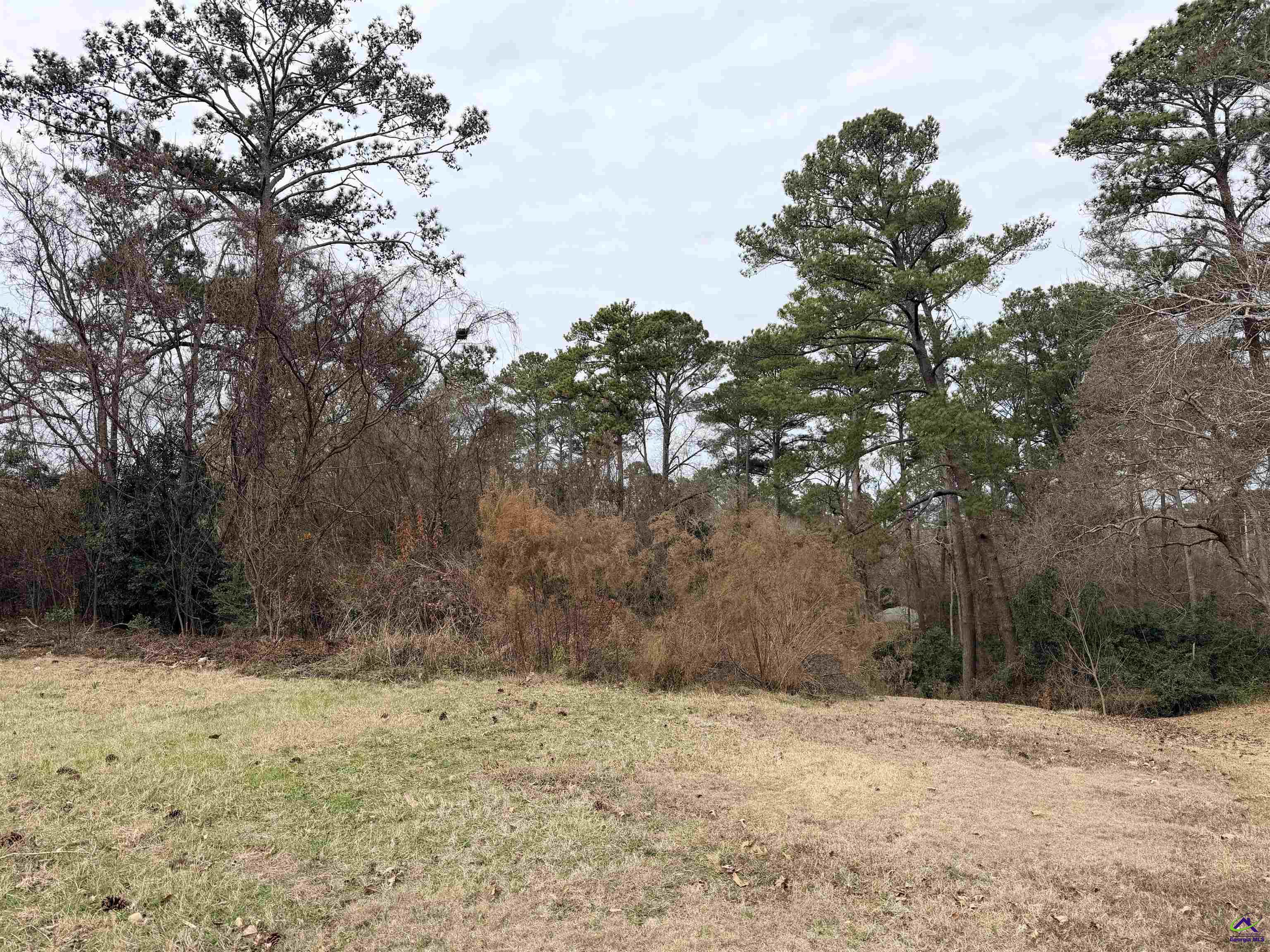 103 Shenahdoah Trail