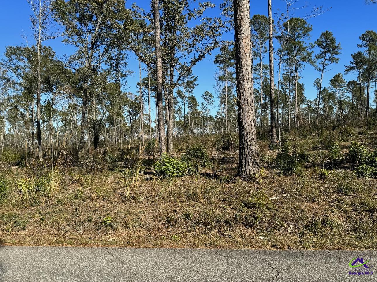 Tract-1 Lower Simmons Road