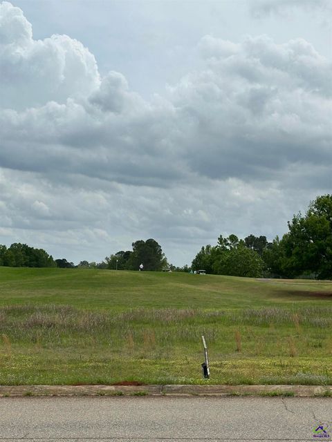 lot 32 Crabapple Drive Hawkinsville GA 31036