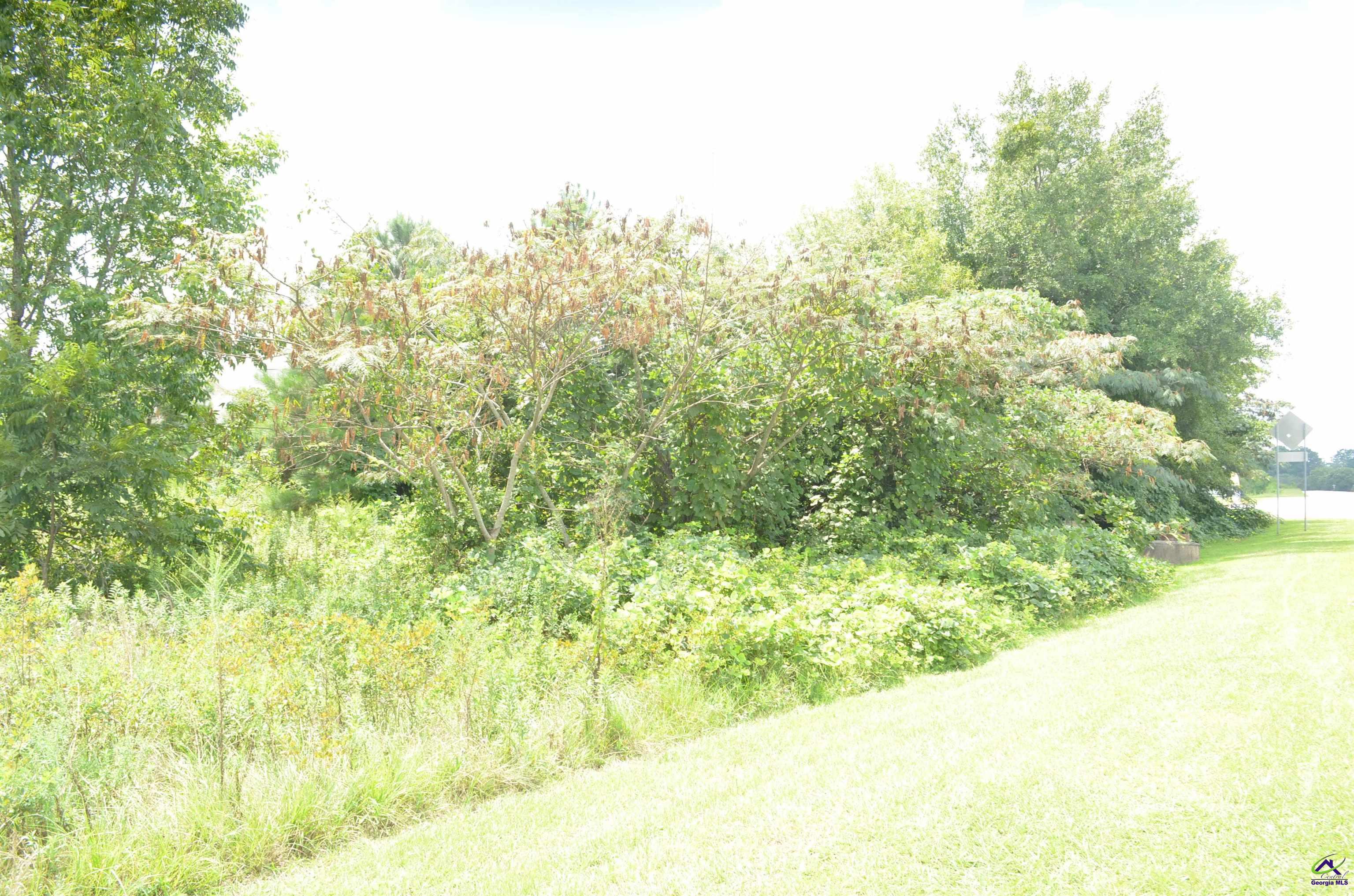 Gunn Road