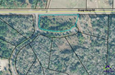 0 Benny Sharp Road Hawkinsville GA 31036