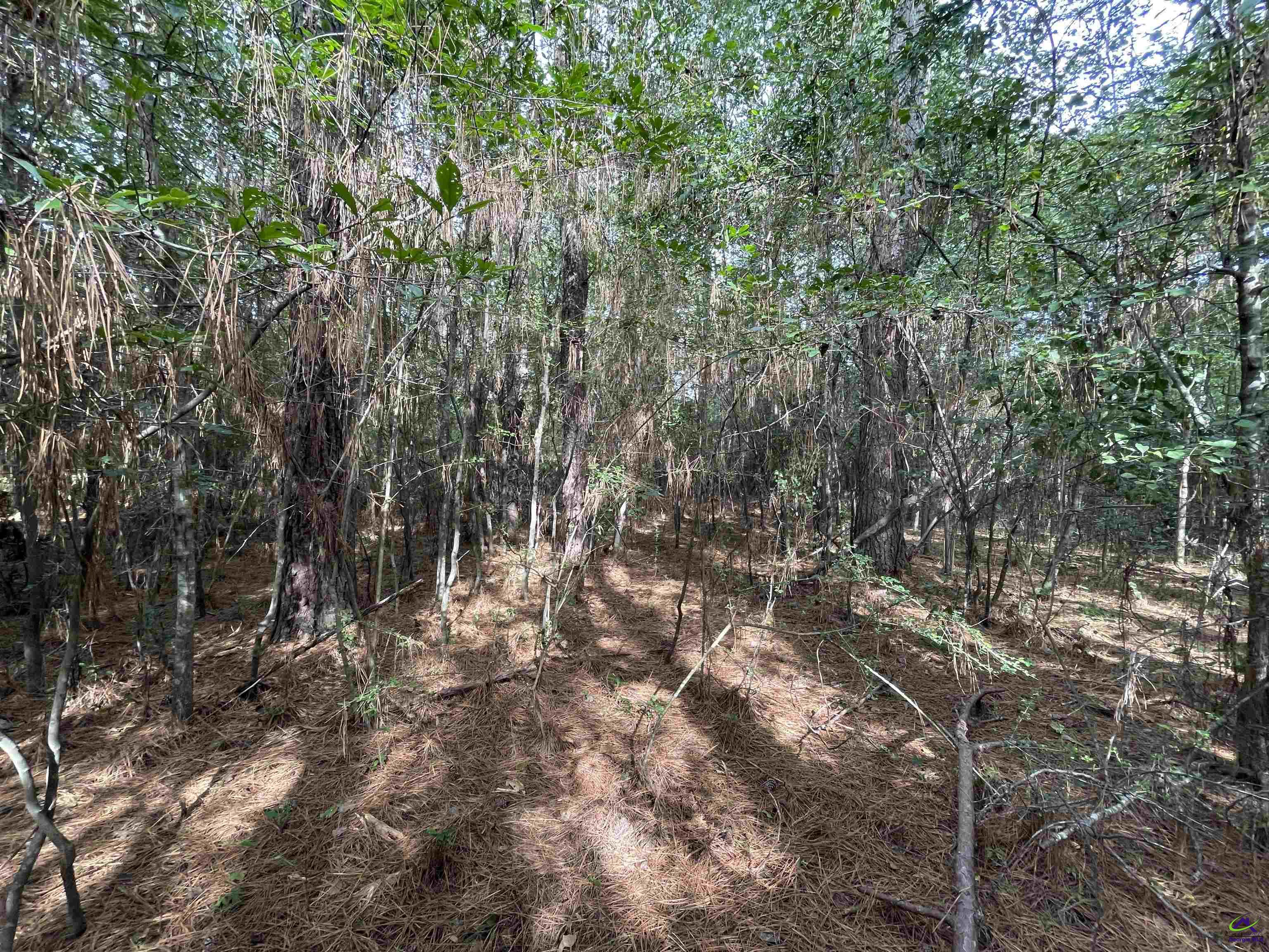 Lot 15 Honeysuckle Trail