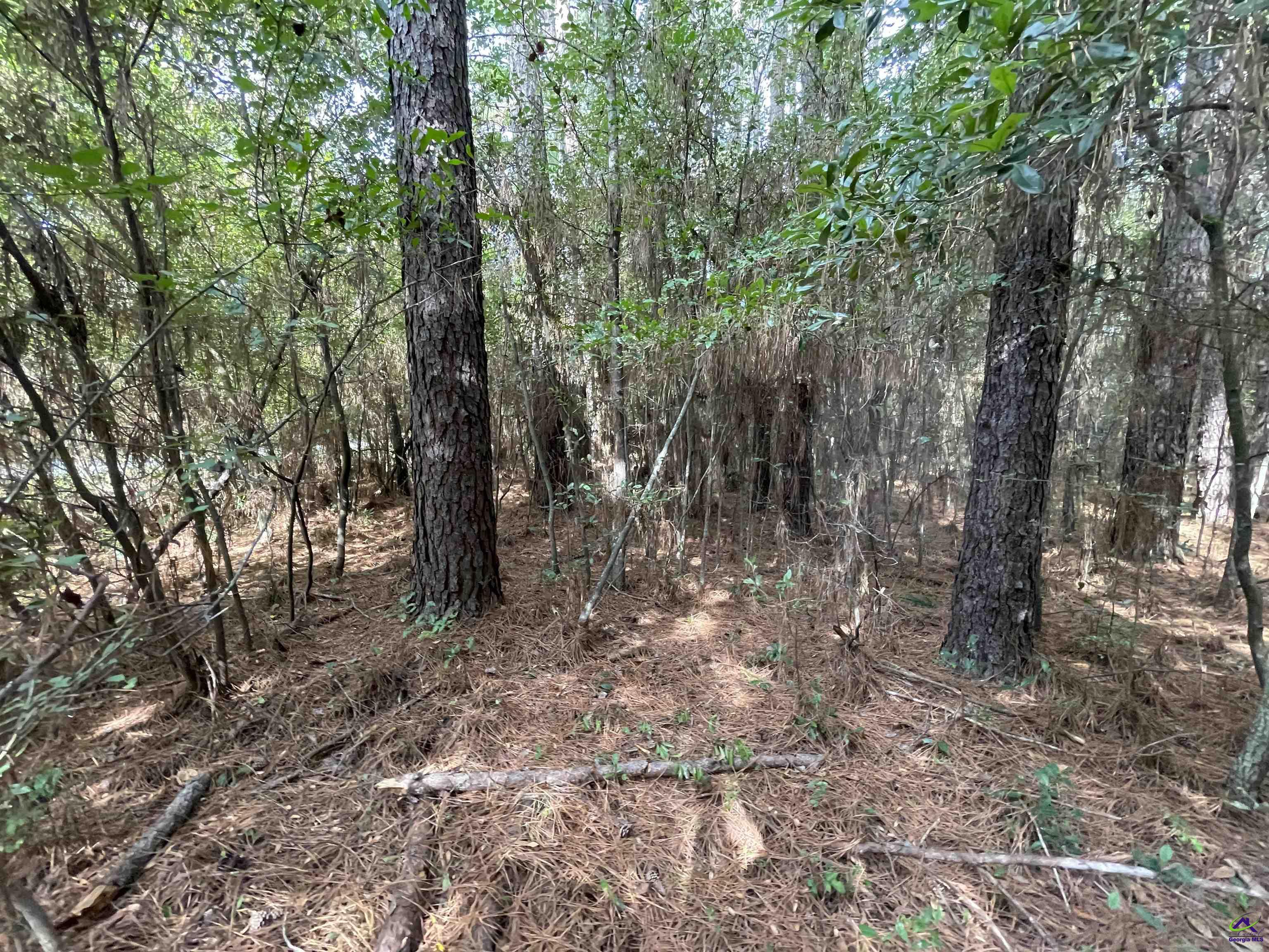 Lot 15 Honeysuckle Trail
