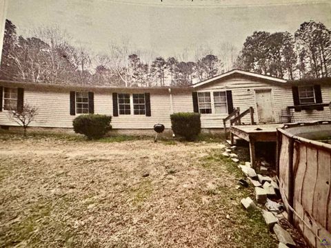 798 williamson Road Tallapoosa GA 30176