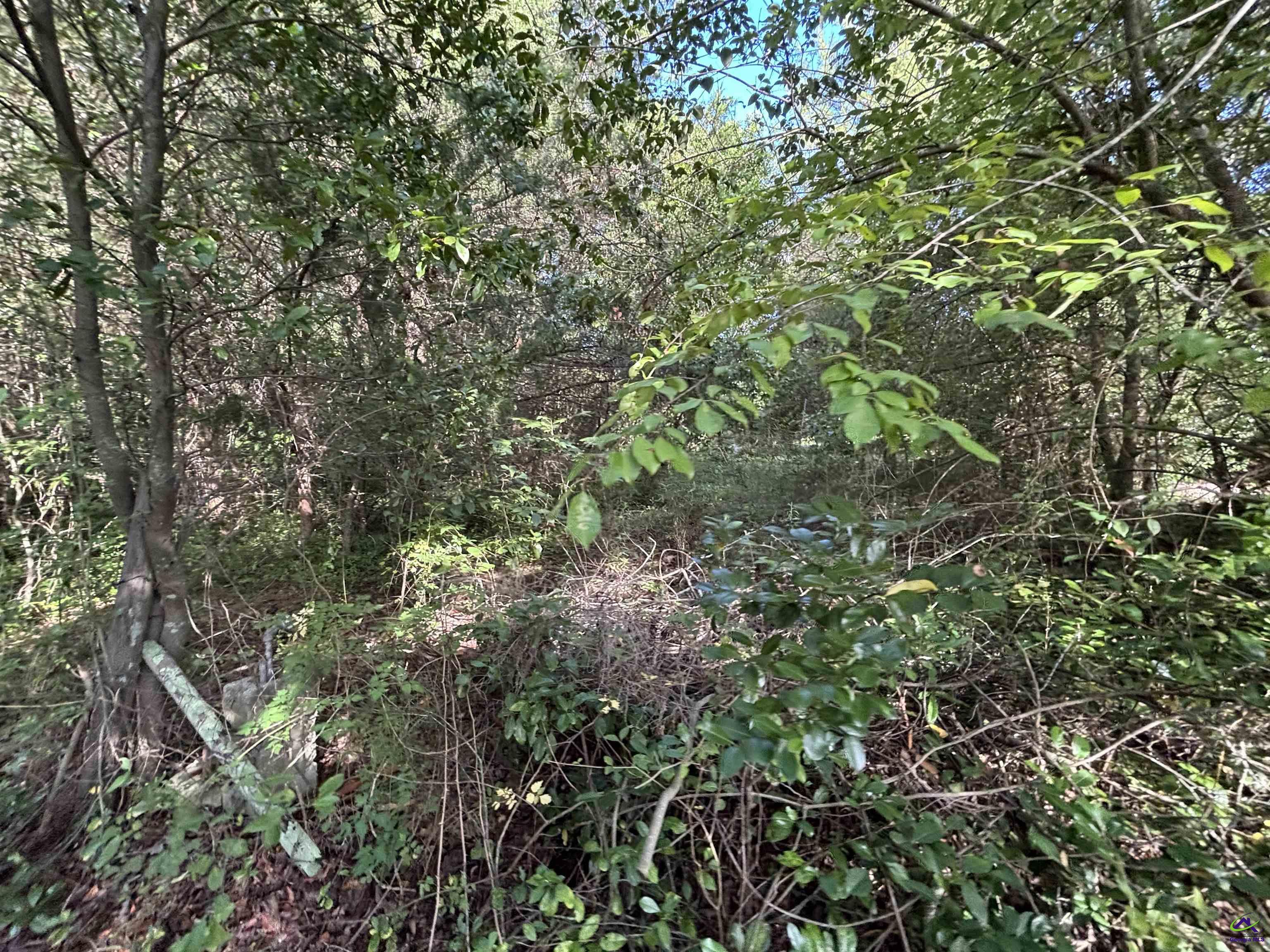 Lot Larryton Drive