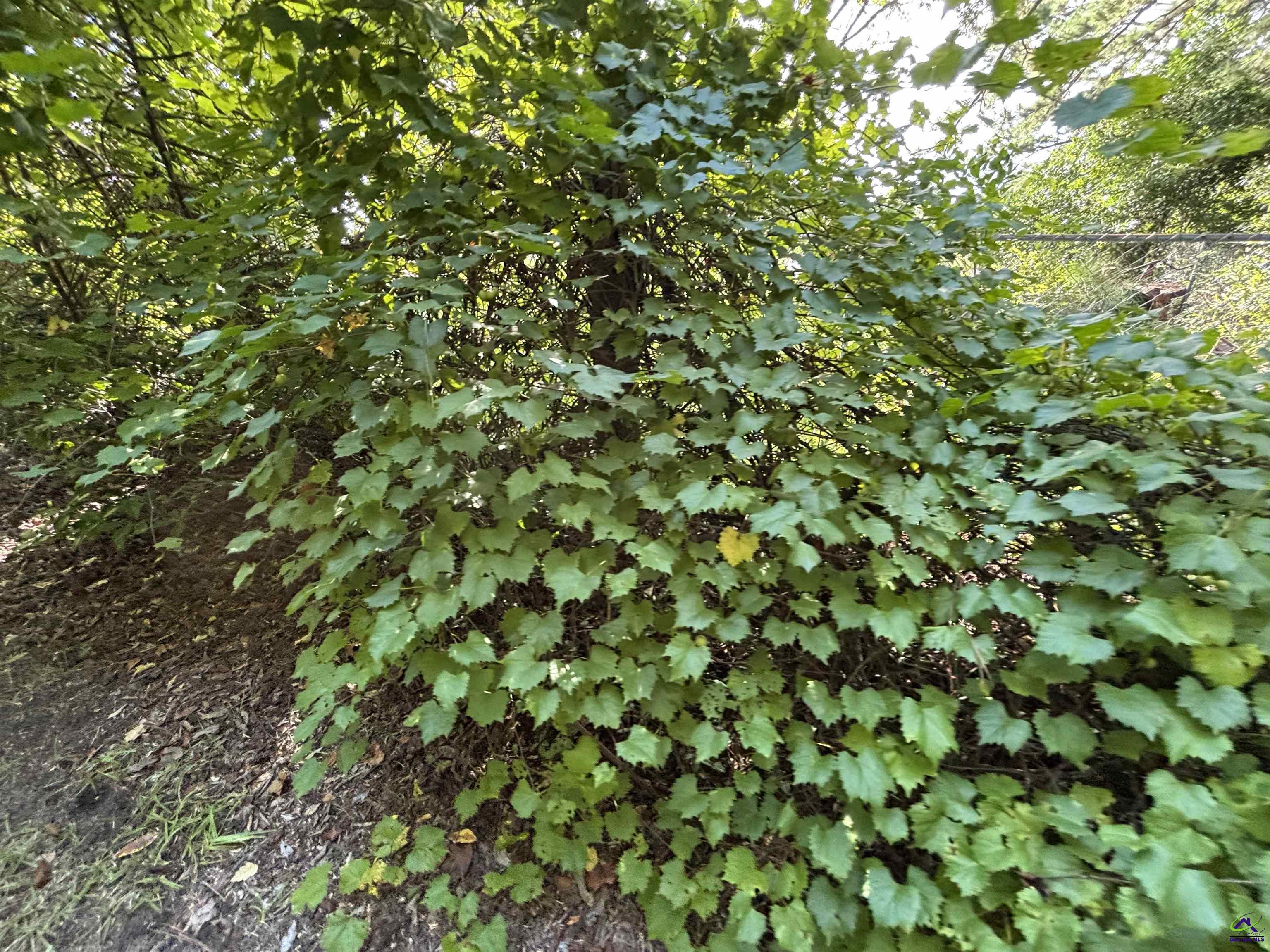 Lot Larryton Drive