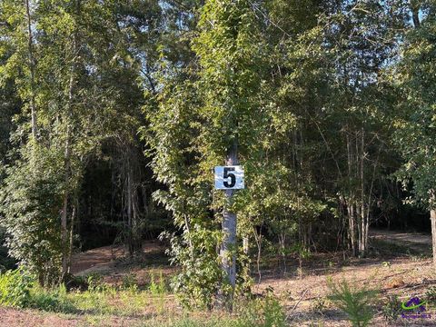 Lot 5 Trojan Way Byron GA 31008