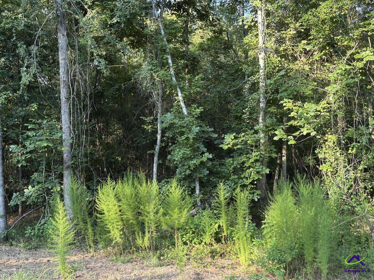 Lot 5 Trojan Way