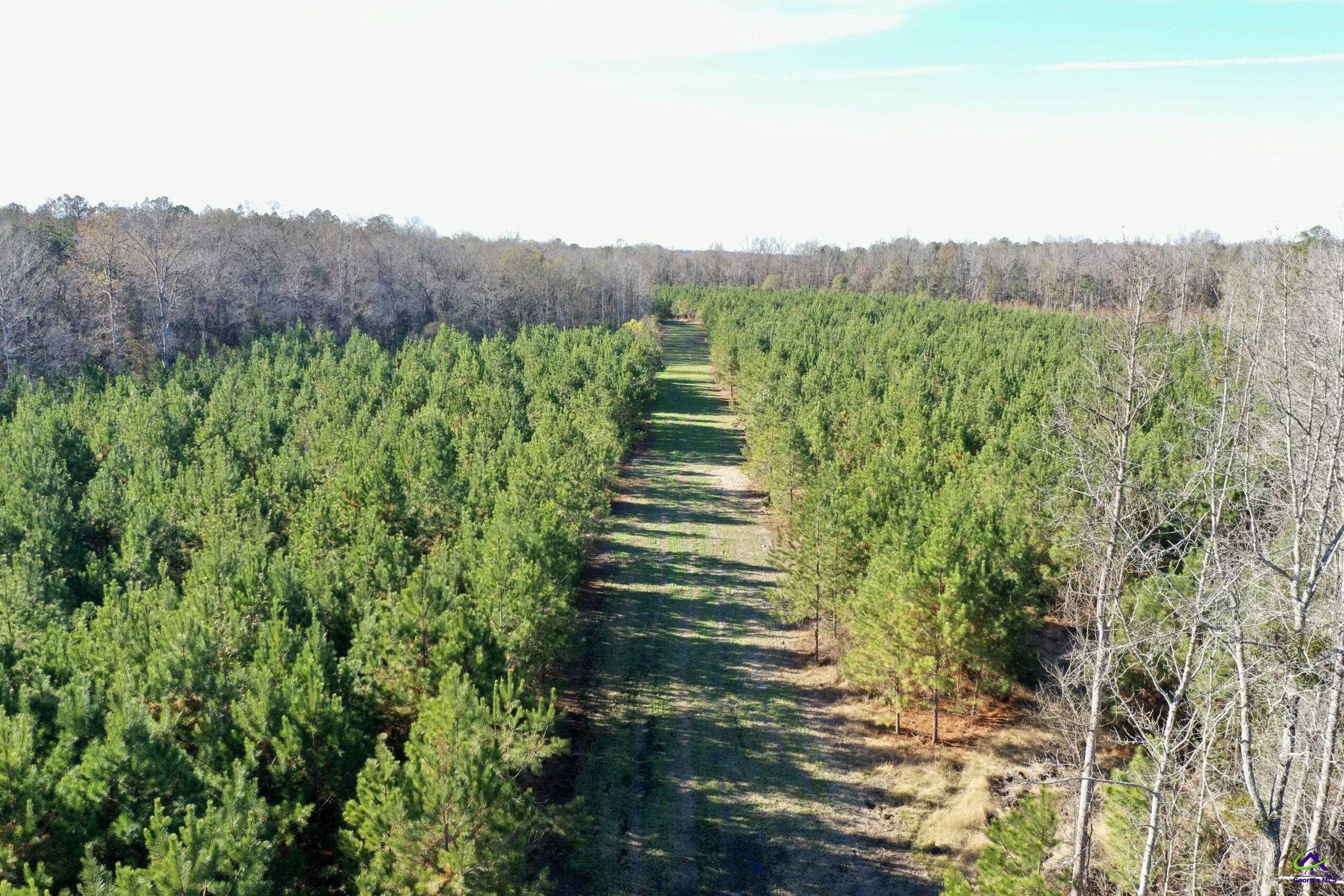 2143 Lilly Creek Road