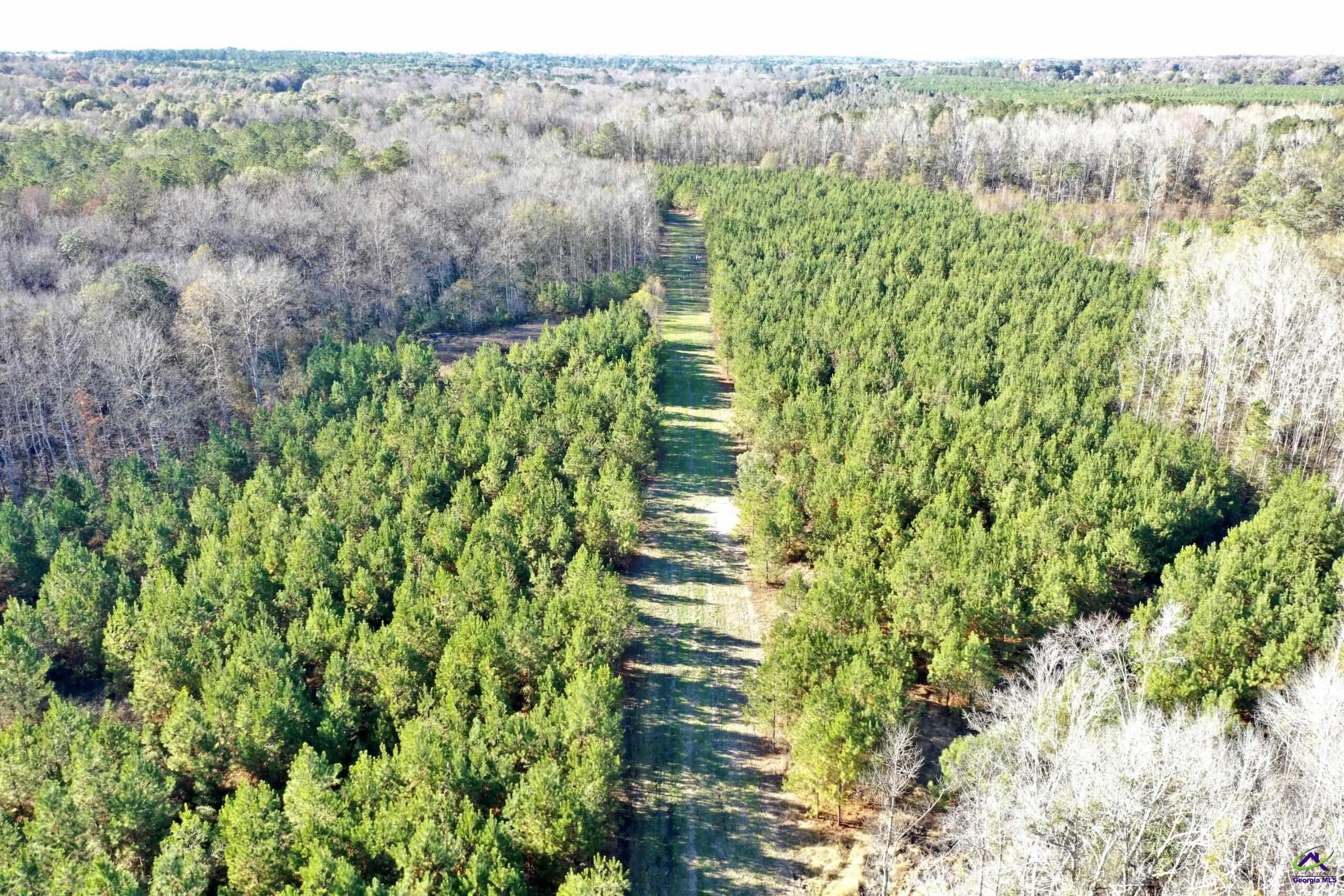 2143 Lilly Creek Road