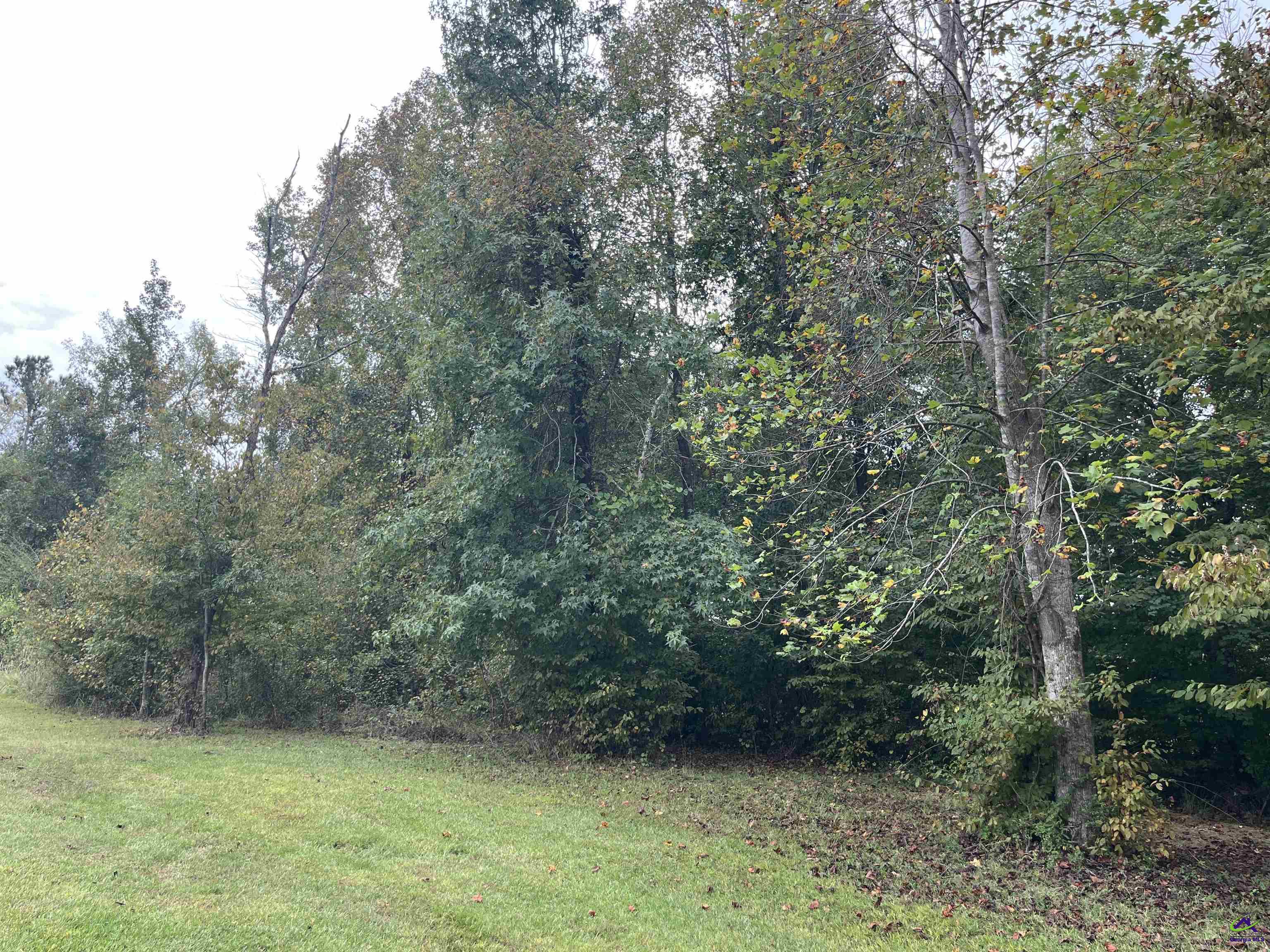 2420 Grand Habor Court