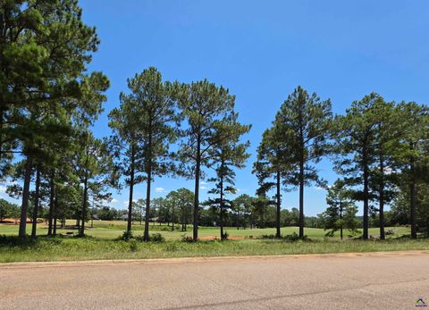 Lot 10, 11 Camden Way Hawkinsville GA 31036