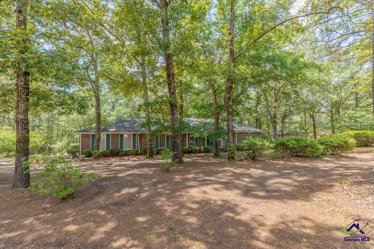 203 Gale Vista Drive