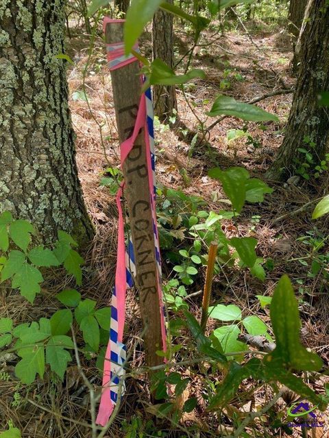 000 Maynards Mill Road Forsyth GA 31029